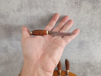 6 x malé nožíky v řadě na dřevéné podložce z břízy. - 11