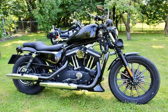 Harley Davidson Iron 883 Sportster - 11
