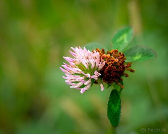 PREDÁM OLYMPUS OM-D E-M10 - 11