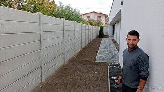 Tuja Smaragd, vavrínovec, červienka, gaštan - Prešov - 11