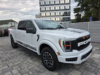 Ford F-150 5.0 4x4 A/T 2023 DPH - 11