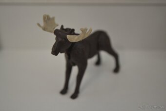 KINDER Zvieratá 1992 - 11