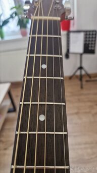 Elektroakustická gitara DOWINA DCE - 11