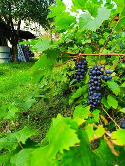 Na predaj rodinný dom s pozemkom Slovenská Ľupča - 11