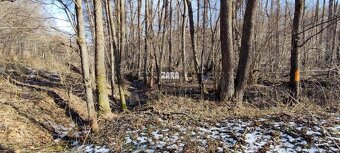 ŠUGOV-ŠUGOVSKÁ DOLINA, INVESTIČNÝ veľkorysý pozemok 3716 m2. - 11