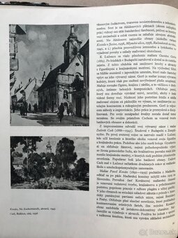 Sumec, Veľká kniha o psoch, Slovenské výtvarné umenie - 11