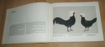 Atlas plemien hydiny - 11