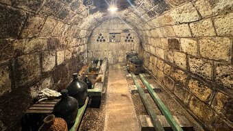 Na predaj viničný dom s pozemkom a krásnym výhľadom na mesto - 11