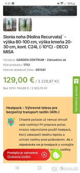 Krásna veľká slonia noha. - 11
