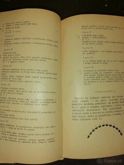 Kniha-Lúčnica. - 11