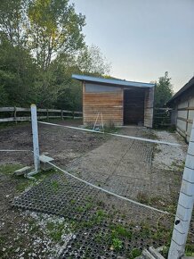 ustajnenie koni, vychadzky vodenie pre deti - 11