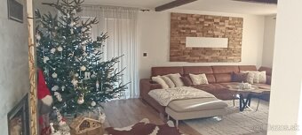 RD Hrabičov okr.Žarnovica - 11