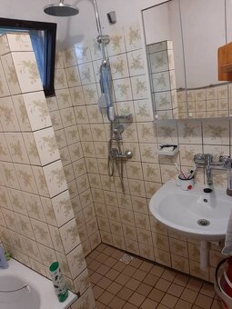 Samota Nová Baňa – Štále s hospodárskymi stavbami - 11