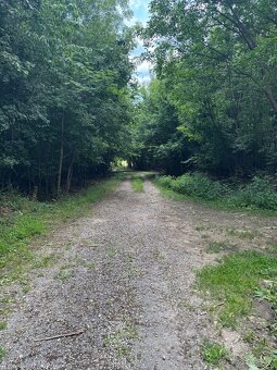 Hatfa - bývale kúpele v obci Viničky - 11