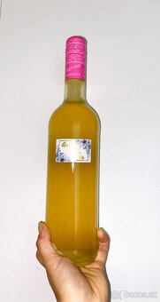 Domáci fialkový sirup na vykašliavanie, FIALKA VOŇAVÁ - 11