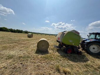 Lis na seno claas - 11