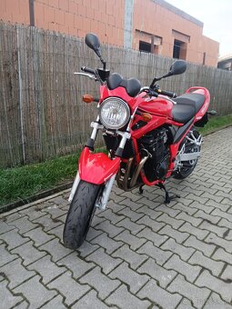Suzuki GSF 650 Bandit - 11