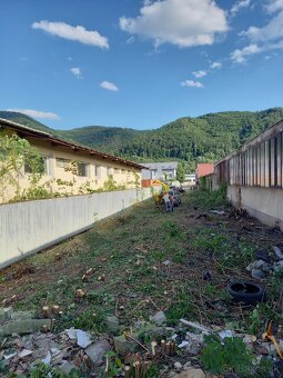 Výrub a opilovanie stromov LACNO A BEZPEČNE - 11