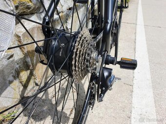 Elektrobicykel GEERO Original Classic „Vinyl“, 54... - 11