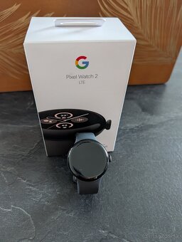 Google Pixel Watch 2 LTE - 11