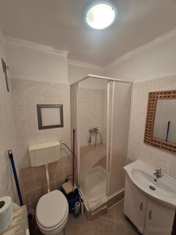 2-IZBOVÝ BYT V KN. - 11