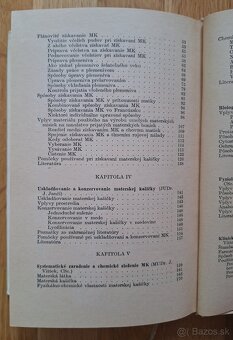 Vcelia materska kasicka - 11