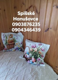 Chalúpka Spišské Hanušovce - 11