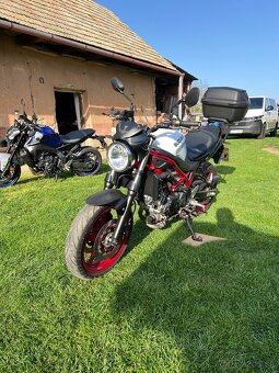 Suzuki SV650 - 11