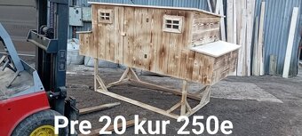 Dvoj kurin - 11