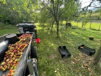 STELS Guepard 850 - 11