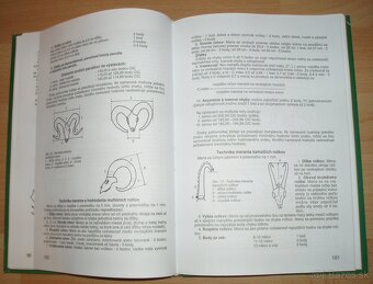 Poľovníctvo 2 - 11