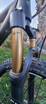 Koba Big Santiero - 11