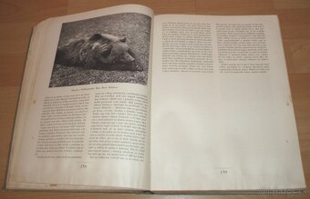 Naša zverina - 11
