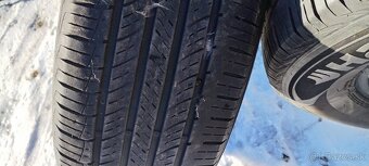 Predam  nove domace zemiaky, pšenicu, jačmeň. - 11