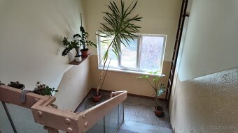 Garzónka s čiastočným zariadením, Boriny - 11