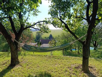 Predaj záhrady v Holíči - Pod Zadnou horou - 11