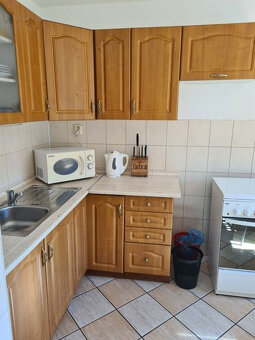 Zaujímavá väčšia nehnuteľnosť na bývanie, podnikanie,... - 11