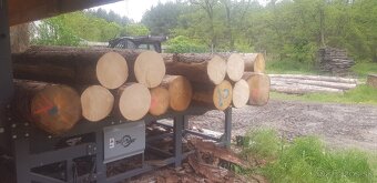 Wood Mizer LT20 - 11