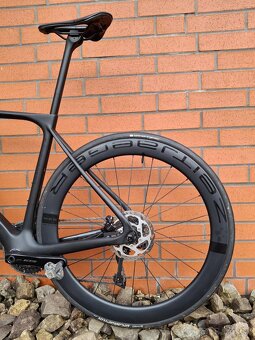 STORCK - FASCENARIO 3 COMP , VEL. M - 11