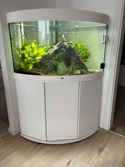 Akváriový set JUWEL Trigon 190 LED biely - 11
