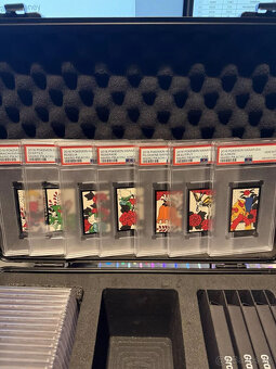 2016 Pokémon Mario Pikachu Luigi Hanafuda Plná sekvenčná sad - 11