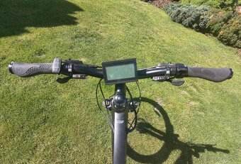 GreenBike - 11