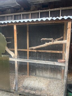 Predám cely chov a drevené voliéry - 11