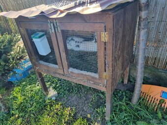 KRÁLIKAREŇ -ZAJAČNÍK - 11