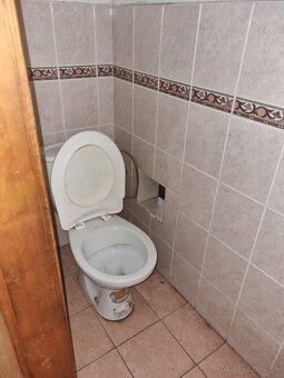 RODINNÝ DOM,STODOLA a POZEMKY 4312 m2 KOPANICE STARÁ TURÁ - 11