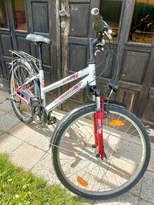 Dámsky bicykel - 11