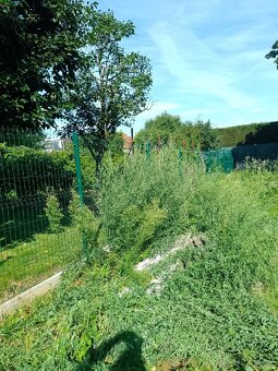 Zakladač trávnika - 11