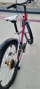 Ctm 24" willy - 11