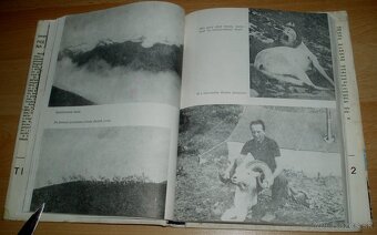 Poľoval som na Alaske - 11