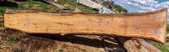 veľké dubové fošne - 11